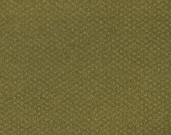 [400111233_11] Carve Classic - 530-Appel